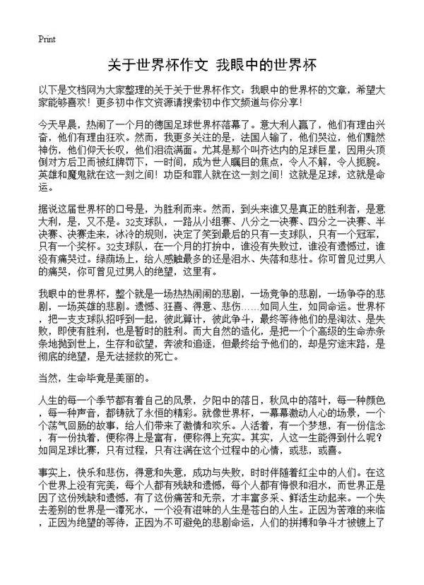 关于世界杯作文 我眼中的世界杯