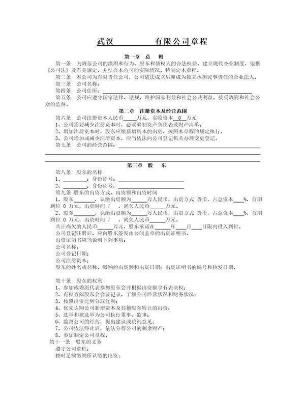 武汉公司章程模版(工商注册)