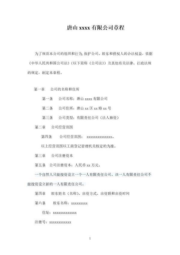 有限责任公司章程(法人独资)改