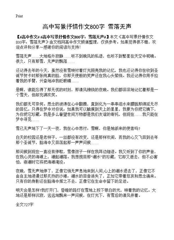 高中写景抒情作文800字 雪落无声