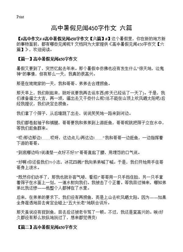 高中暑假见闻450字作文