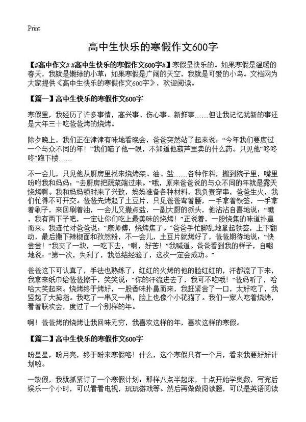 高中生快乐的寒假作文600字