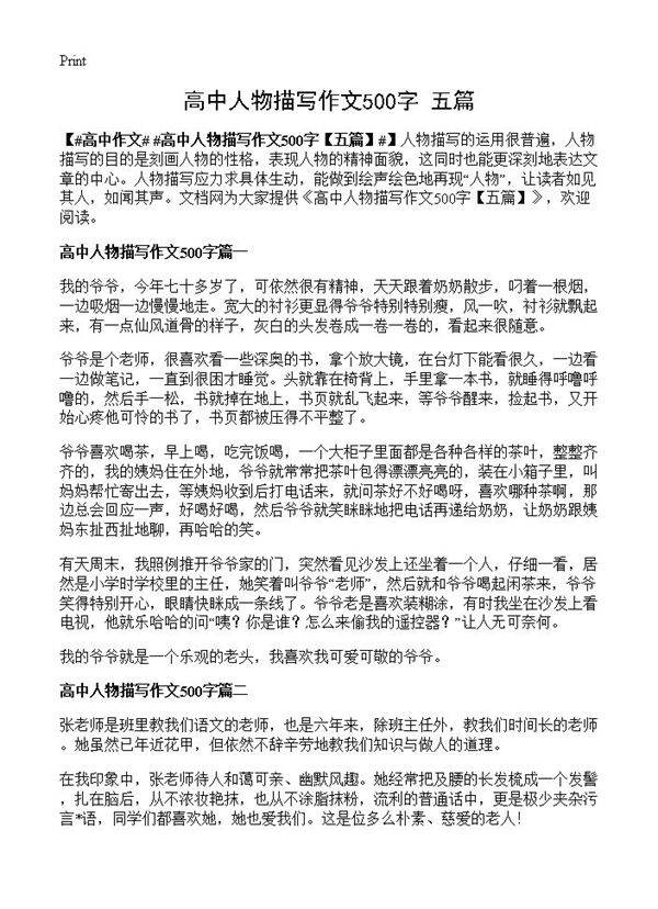 高中人物描写作文500字