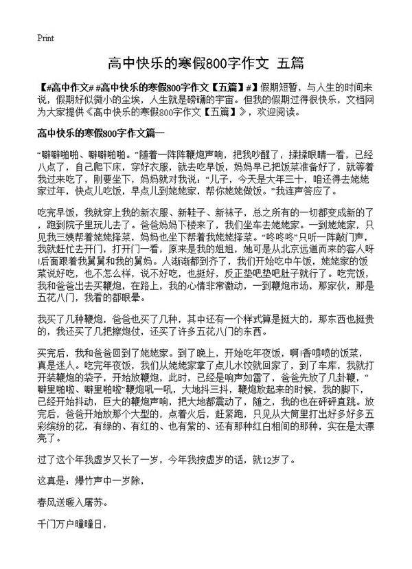 高中快乐的寒假800字作文