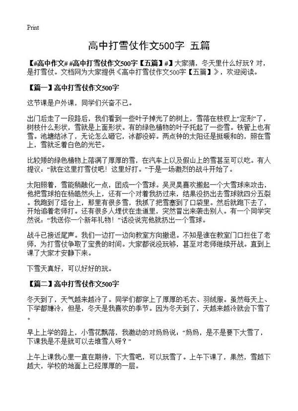高中打雪仗作文500字