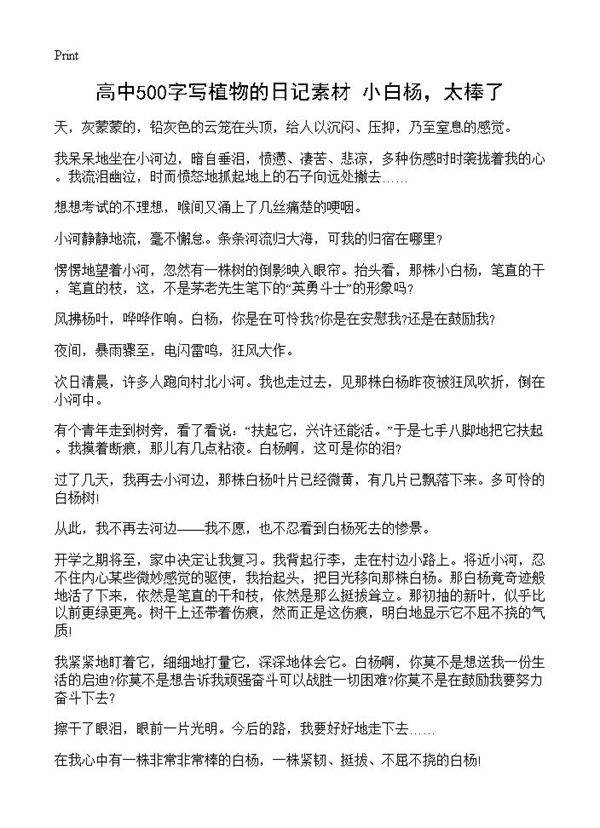 高中500字写植物的日记素材 小白杨,太棒了