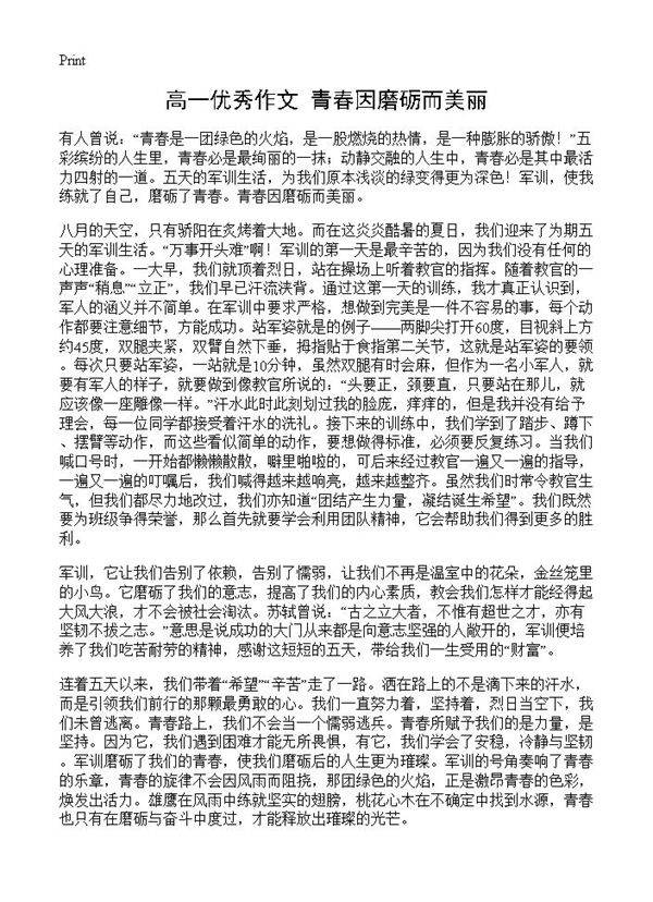 高一优秀作文 青春因磨砺而美丽