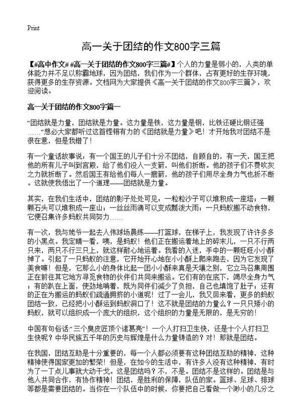 高一关于团结的作文800字三篇