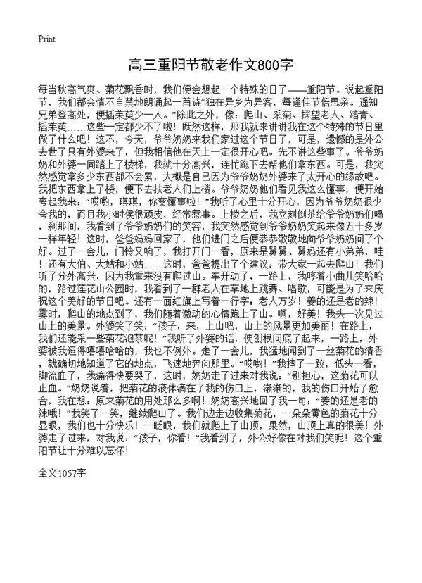 高三重阳节敬老作文800字