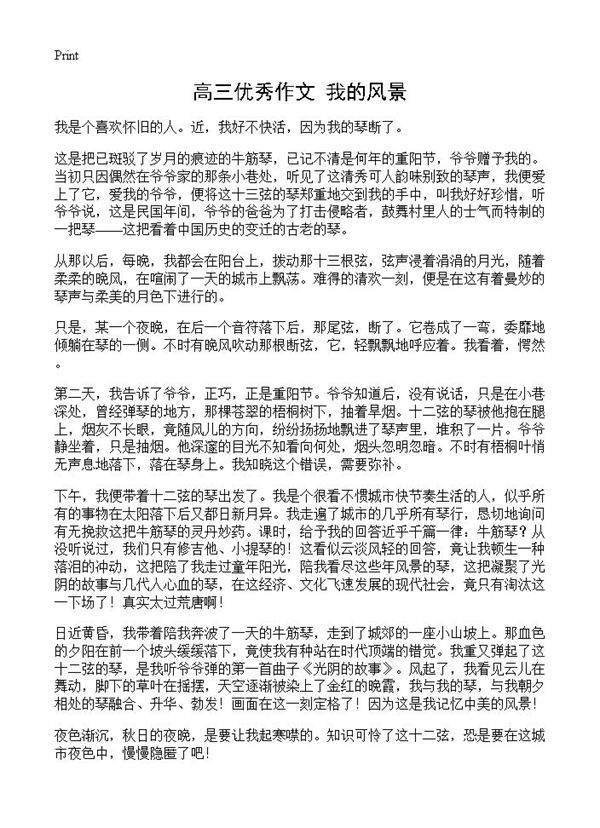 高三优秀作文 我的风景