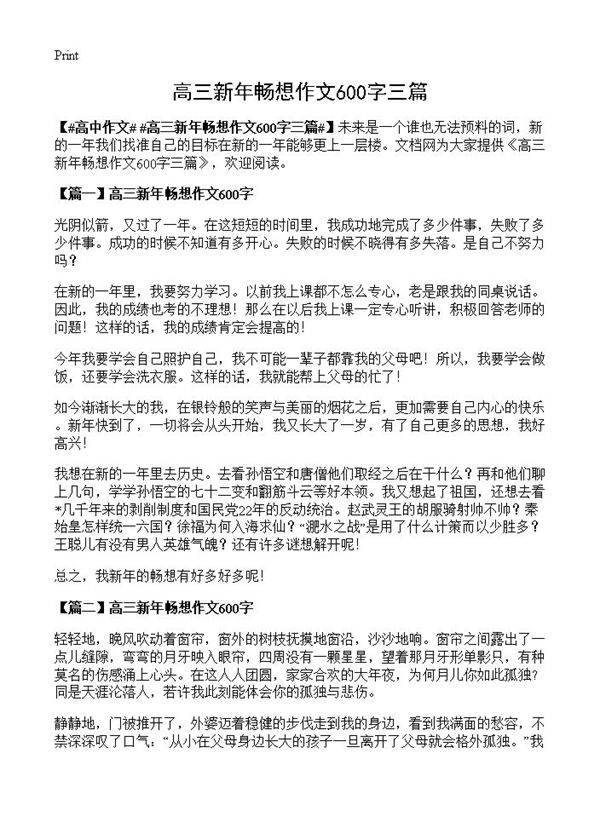 高三新年畅想作文600字三篇