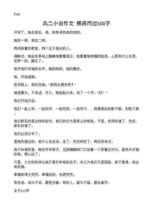 高二小说作文 擦肩而过500字