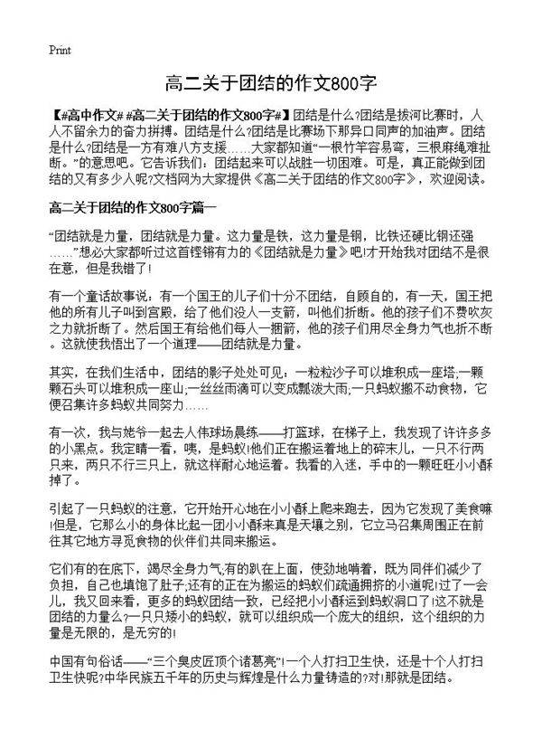 高二关于团结的作文800字