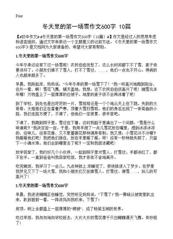 冬天里的第一场雪作文600字10篇