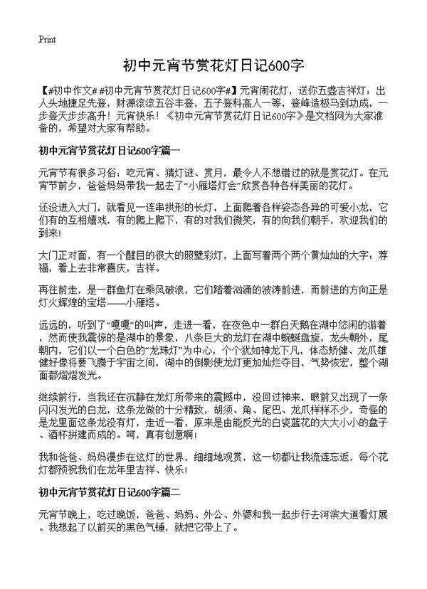初中元宵节赏花灯日记600字