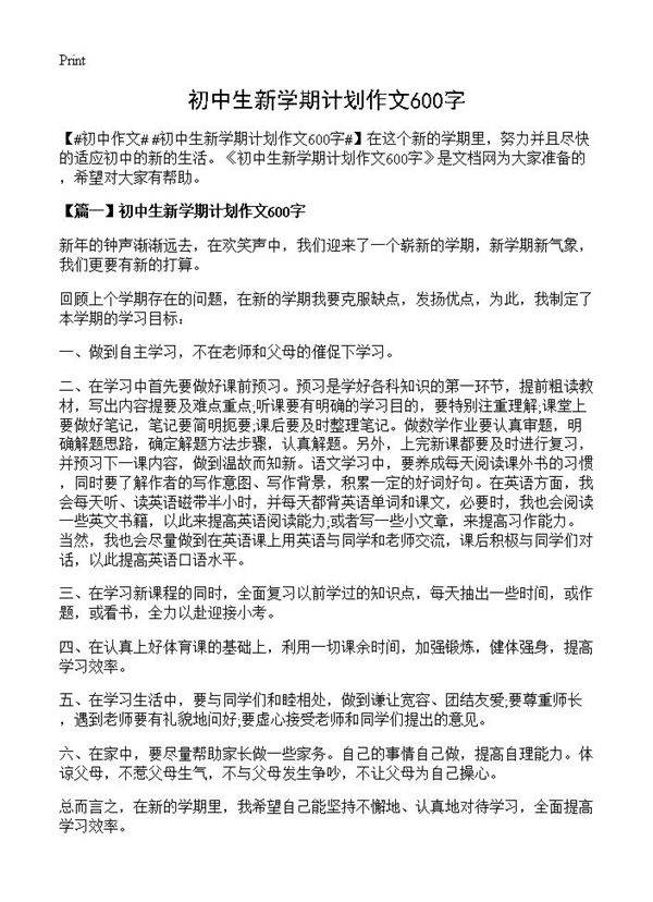 初中生新学期计划作文600字