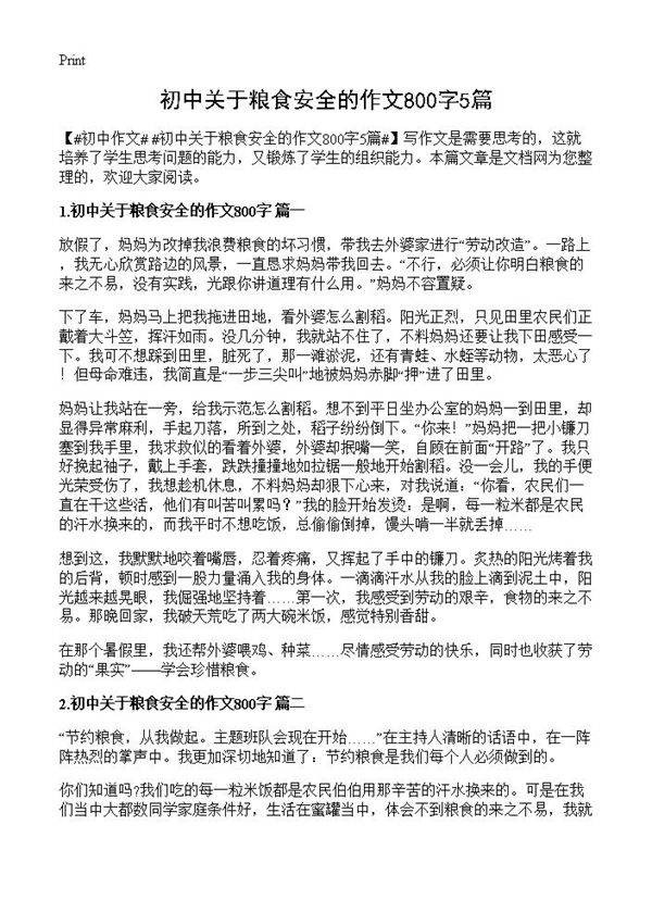 初中关于粮食安全的作文800字5篇