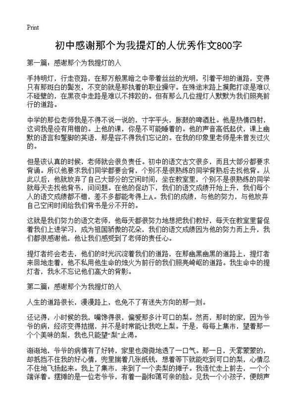 初中感谢那个为我提灯的人优秀作文800字