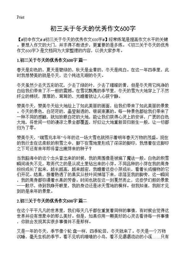 初三关于冬天的优秀作文600字
