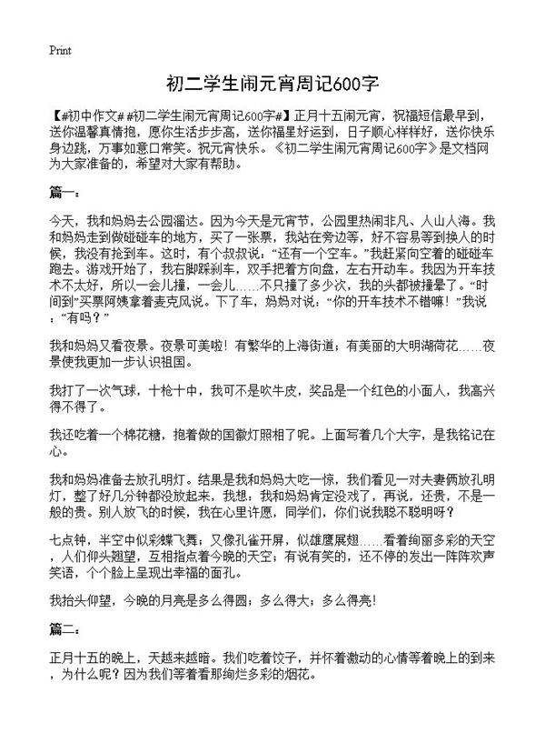 初二学生闹元宵周记600字