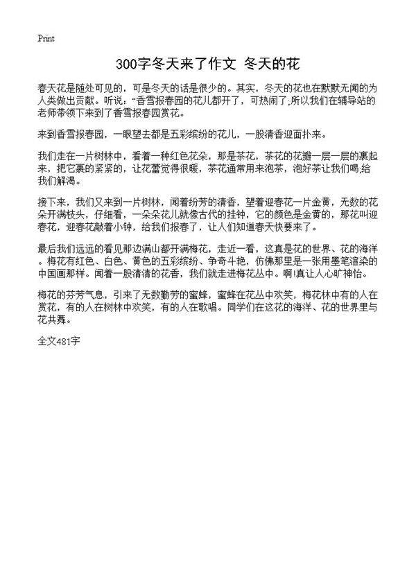 300字冬天来了作文 冬天的花