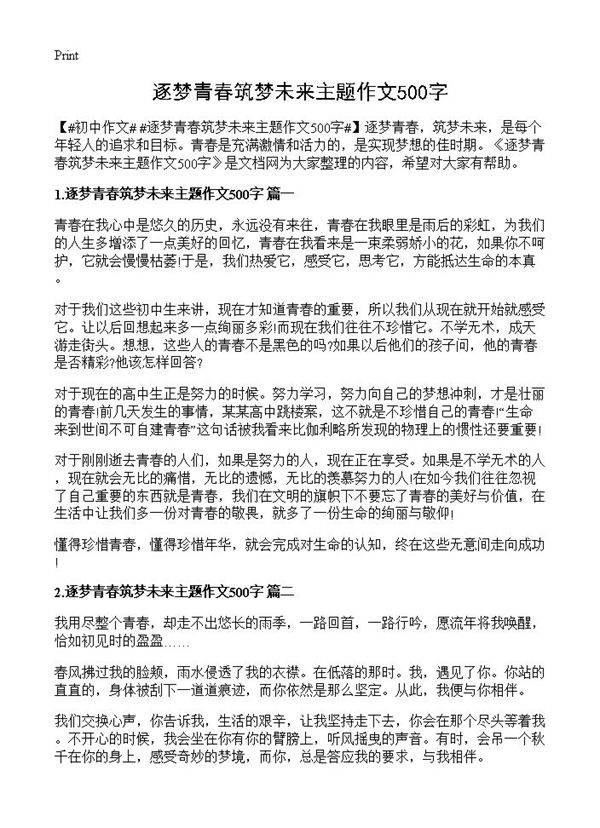 逐梦青春筑梦未来主题作文500字