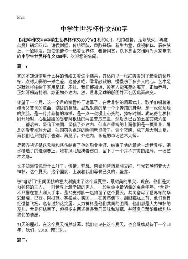 中学生世界杯作文600字