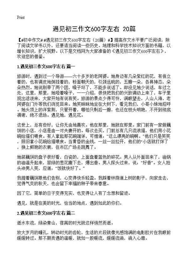遇见初三作文600字左右20篇