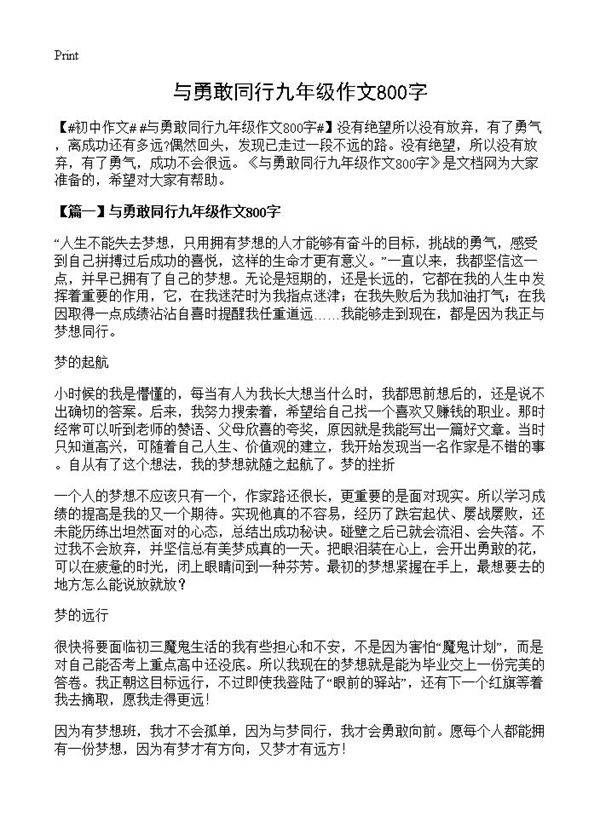 与勇敢同行九年级作文800字