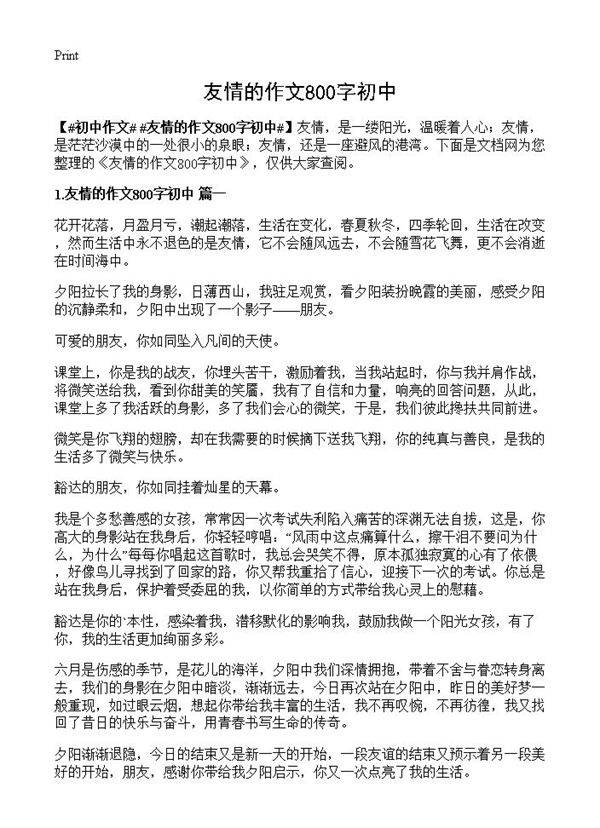 友情的作文800字初中