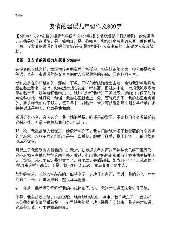 友情的温暖九年级作文800字