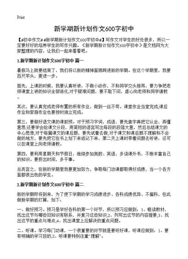新学期新计划作文600字初中