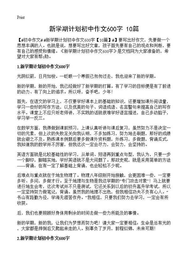 新学期计划初中作文600字