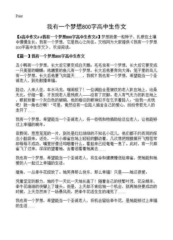 我有一个梦想800字高中生作文