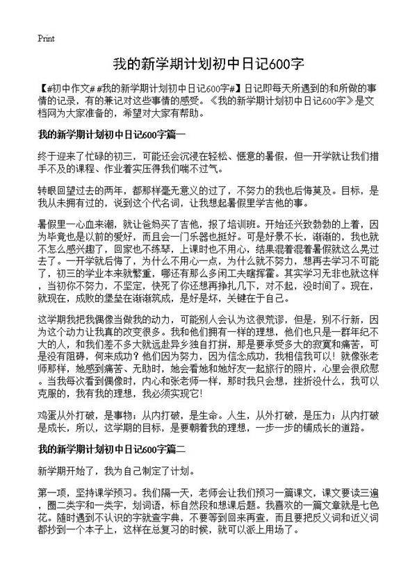 我的新学期计划初中日记600字