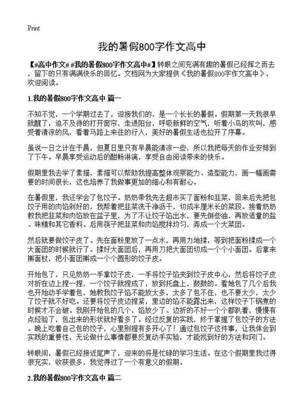 我的暑假800字作文高中
