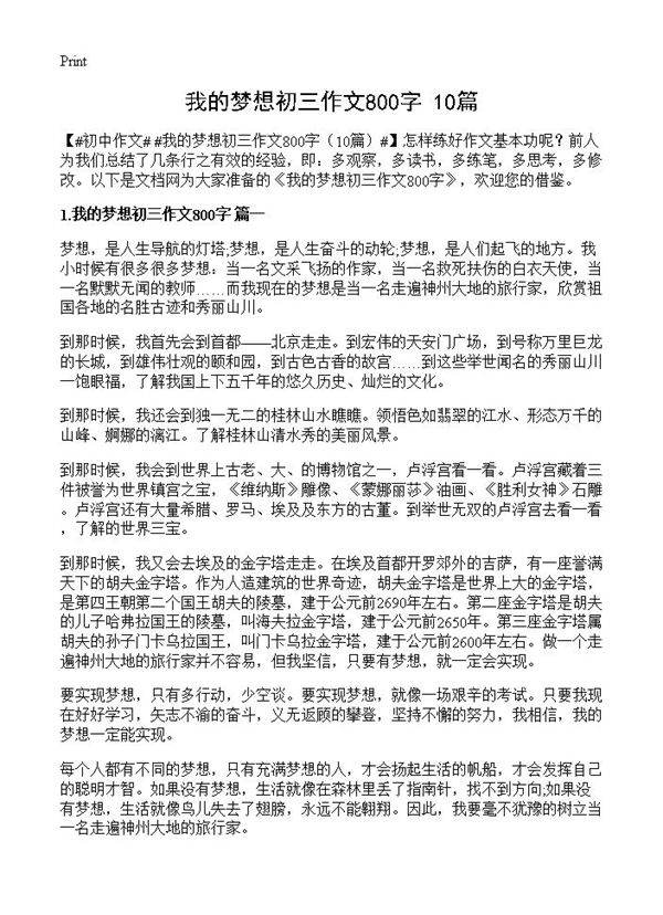 我的梦想初三作文800字10篇