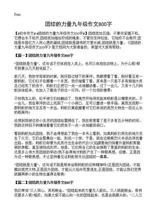 团结的力量九年级作文800字