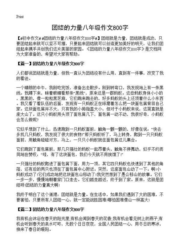 团结的力量八年级作文800字