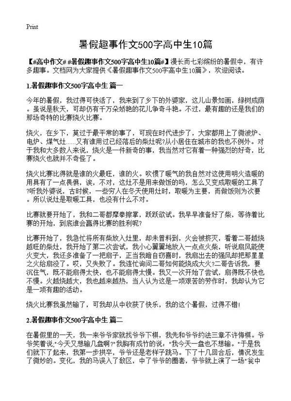 暑假趣事作文500字高中生10篇