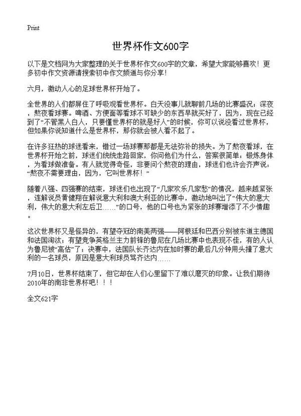 世界杯作文600字