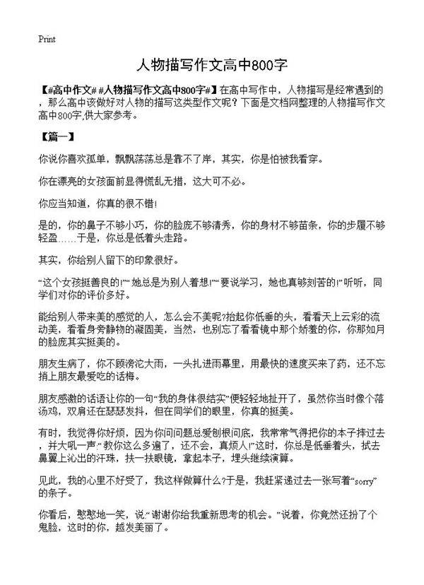 人物描写作文高中800字