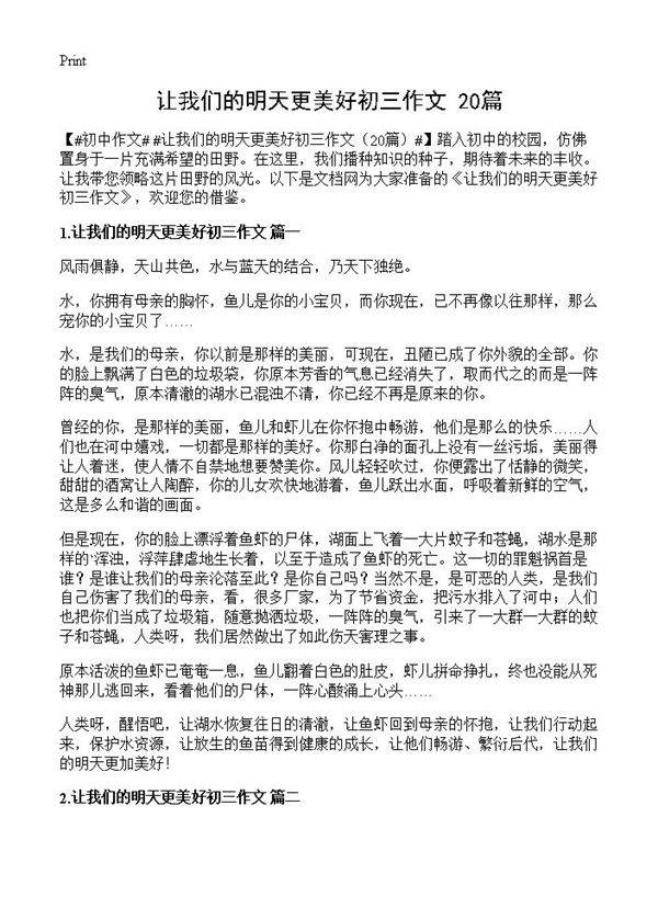 让我们的明天更美好初三作文20篇