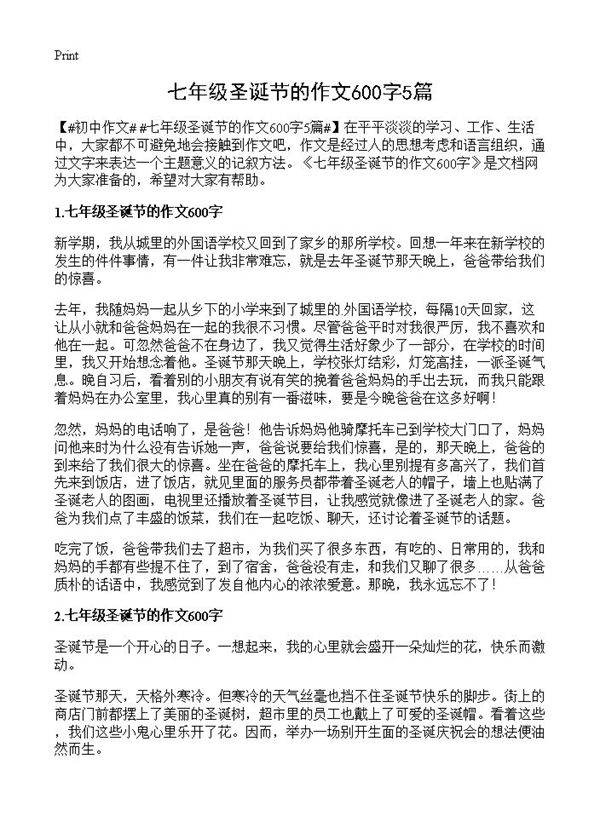 七年级圣诞节的作文600字5篇