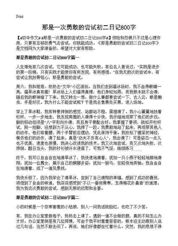 那是一次勇敢的尝试初二日记800字