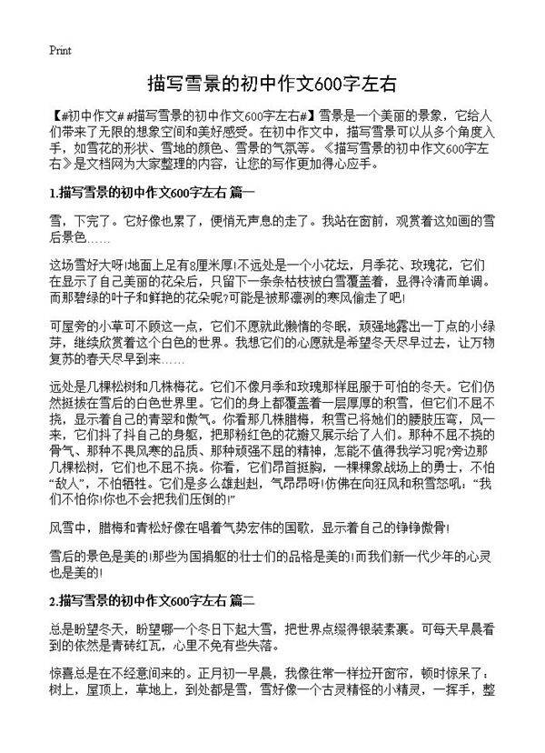 描写雪景的初中作文600字左右