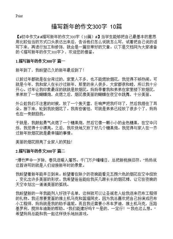描写新年的作文300字10篇