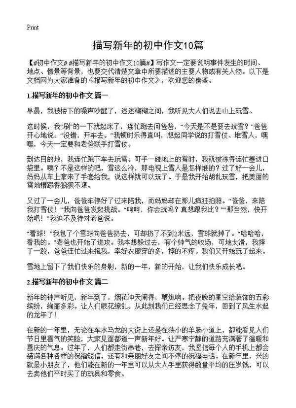 描写新年的初中作文10篇