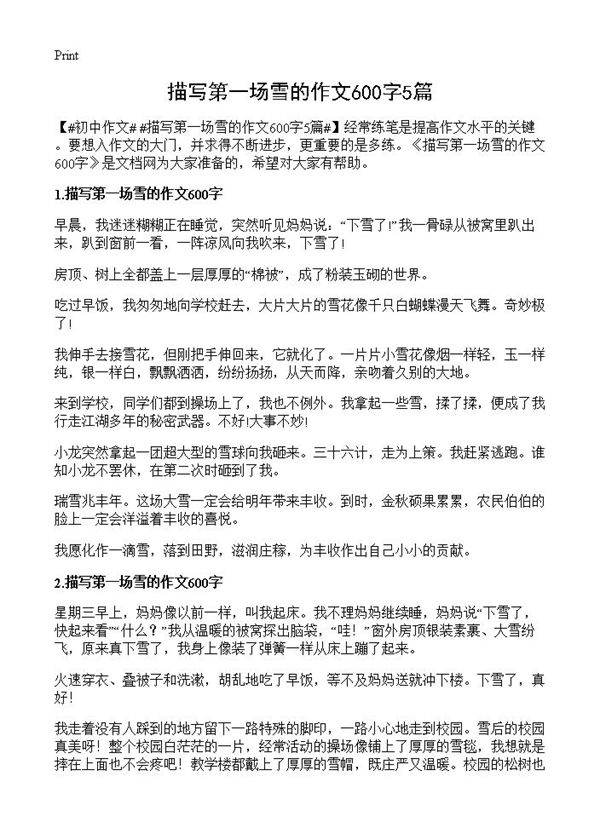 描写第一场雪的作文600字5篇