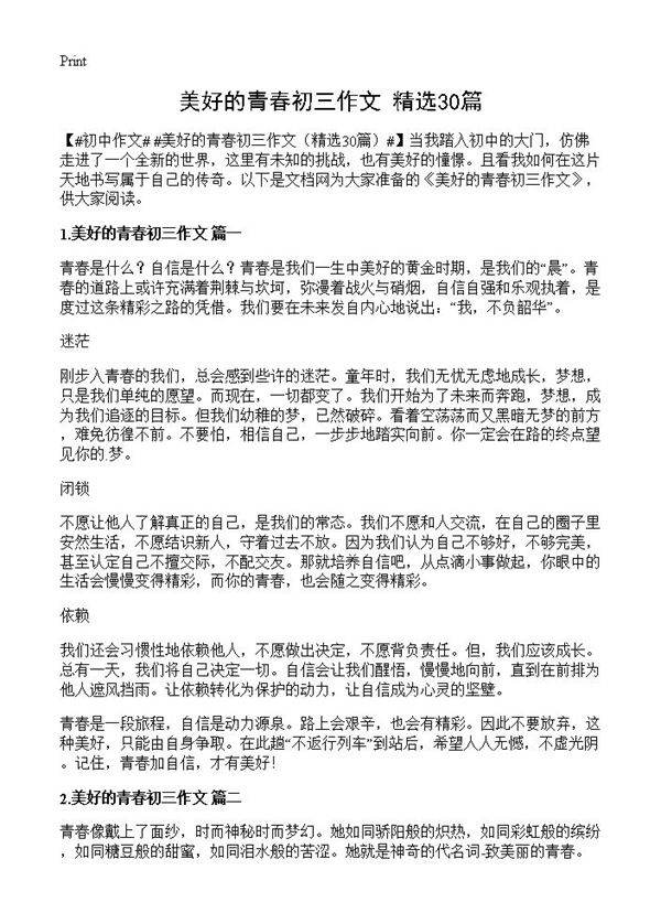 美好的青春初三作文30篇